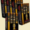 Property Theft:  Chicago Political Corruption Style (SUPER SAVER) - Image 5